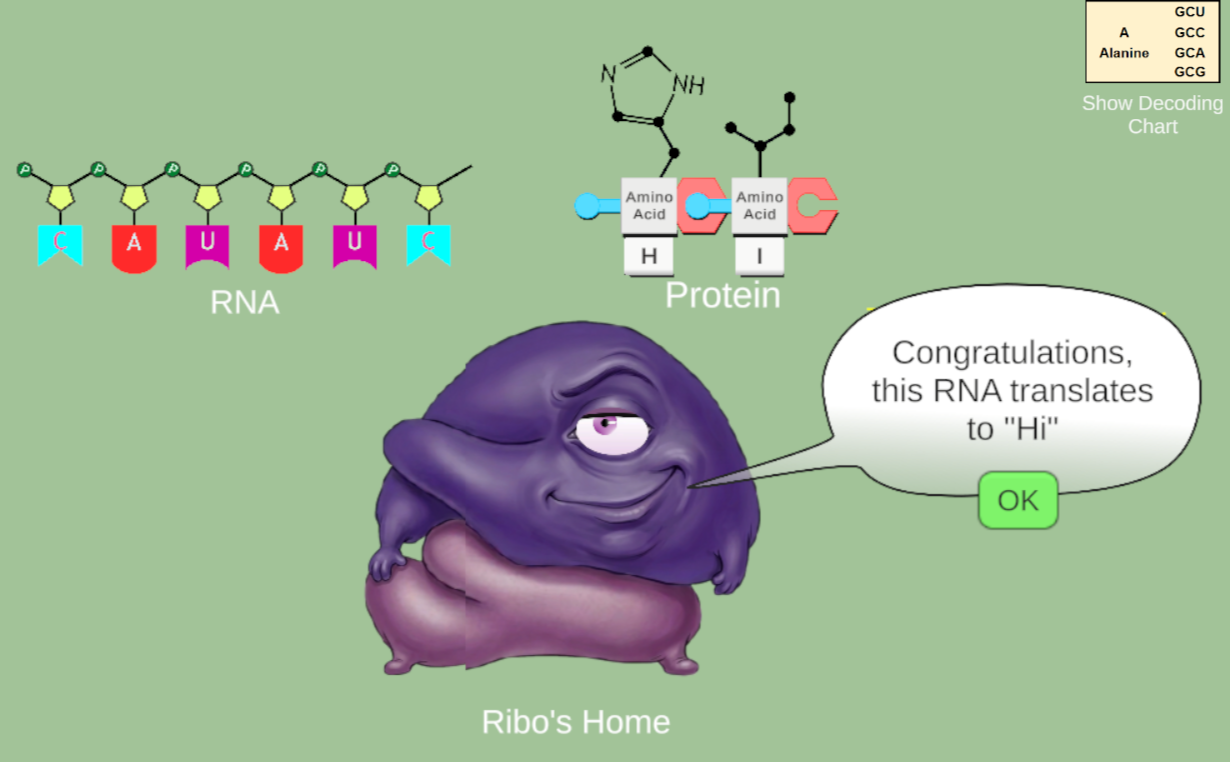 DNA Game with Translation